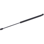 Order TUFF SUPPORT - 610880 - Hood Lift Support For Your Vehicle