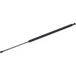 Order TUFF SUPPORT - 610964 - Lift Support For Your Vehicle