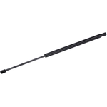 Order Lift Support by TUFF SUPPORT - 610994 For Your Vehicle