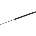 Order Lift Support by TUFF SUPPORT - 611053 For Your Vehicle