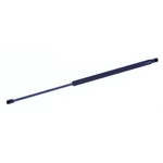 Order Lift Support by TUFF SUPPORT - 611081 For Your Vehicle