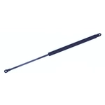 Order Lift Support by TUFF SUPPORT - 611114 For Your Vehicle