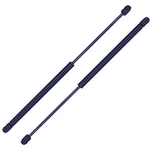 Order Lift Support by TUFF SUPPORT - 611115 For Your Vehicle