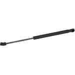 Order Lift Support by TUFF SUPPORT - 611135 For Your Vehicle