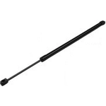 Order TUFF SUPPORT - 611203 - Liftgate Lift Support For Your Vehicle