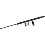 Order Lift Support by TUFF SUPPORT - 611221 For Your Vehicle