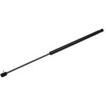Order TUFF SUPPORT - 611226 - Liftgate Lift Support For Your Vehicle