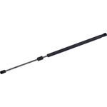 Order Lift Support by TUFF SUPPORT - 611238 For Your Vehicle