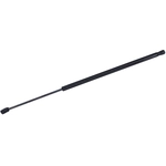 Order TUFF SUPPORT - 611239 - Liftgate Lift Support For Your Vehicle