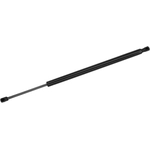 Order TUFF SUPPORT - 611284 - Liftgate Lift Support For Your Vehicle