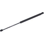 Order Support de levage par TUFF SUPPORT - 611298 For Your Vehicle