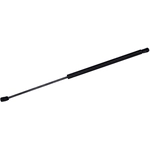 Order Lift Support by TUFF SUPPORT - 611302 For Your Vehicle