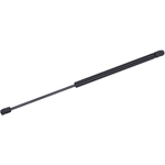 Order Lift Support by TUFF SUPPORT - 611370 For Your Vehicle