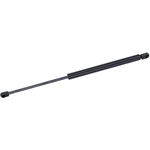 Order Lift Support by TUFF SUPPORT - 611395 For Your Vehicle