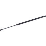 Order Lift Support by TUFF SUPPORT - 611423 For Your Vehicle