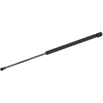 Order TUFF SUPPORT - 611474 - Liftgate Lift Support For Your Vehicle