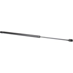 Order Lift Support by TUFF SUPPORT - 611480 For Your Vehicle