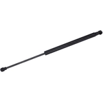 Order TUFF SUPPORT - 611520 - Lift Support For Your Vehicle