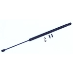 Order Lift Support by TUFF SUPPORT - 611523 For Your Vehicle