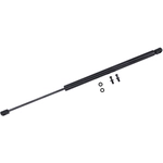 Order Lift Support by TUFF SUPPORT - 611523 For Your Vehicle
