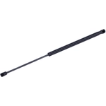Order Lift Support by TUFF SUPPORT - 611567 For Your Vehicle