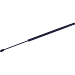 Order TUFF SUPPORT - 611592 - Hood Lift Support For Your Vehicle