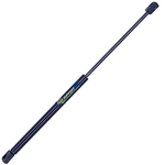 Order TUFF SUPPORT - 611658 - Liftgate Lift Support For Your Vehicle