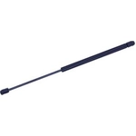 Order TUFF SUPPORT - 611658 - Liftgate Lift Support For Your Vehicle
