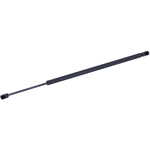 Order Lift Support by TUFF SUPPORT - 611687 For Your Vehicle