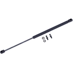 Order TUFF SUPPORT - 611691 - Lift Support For Your Vehicle