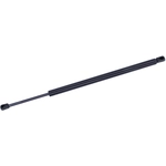 Order Lift Support by TUFF SUPPORT - 611693 For Your Vehicle