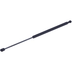 Order Lift Support by TUFF SUPPORT - 611711 For Your Vehicle