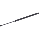 Order Support de levage par TUFF SUPPORT - 611713 For Your Vehicle