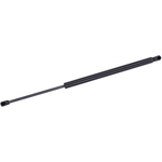Order Lift Support by TUFF SUPPORT - 611718 For Your Vehicle