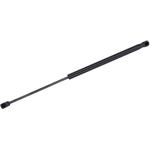 Order Lift Support by TUFF SUPPORT - 611779 For Your Vehicle