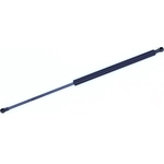 Order Lift Support by TUFF SUPPORT - 611792 For Your Vehicle