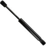 Order Lift Support by TUFF SUPPORT - 611808 For Your Vehicle