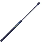 Order TUFF SUPPORT - 611834 - Liftgate Lift Support For Your Vehicle