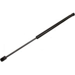 Order TUFF SUPPORT - 611848 - Liftgate Lift Support For Your Vehicle