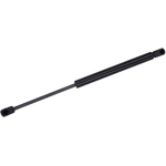 Order Lift Support by TUFF SUPPORT - 611938 For Your Vehicle