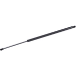 Order TUFF SUPPORT - 611959 - Liftgate Lift Support For Your Vehicle