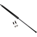 Order TUFF SUPPORT - 611995 - Liftgate Lift Support For Your Vehicle