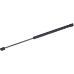 Order Lift Support by TUFF SUPPORT - 612018 For Your Vehicle
