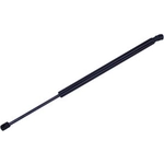 Order Lift Support by TUFF SUPPORT - 612068 For Your Vehicle