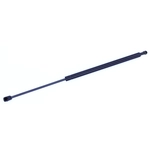 Order Lift Support by TUFF SUPPORT - 612079 For Your Vehicle