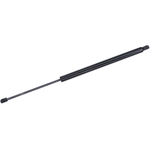 Order Lift Support by TUFF SUPPORT - 612142 For Your Vehicle