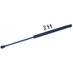 Order Lift Support by TUFF SUPPORT - 612202 For Your Vehicle