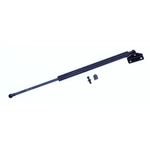 Order TUFF SUPPORT - 612215 - Lift Support For Your Vehicle