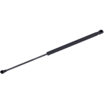 Order TUFF SUPPORT - 612254 - Liftgate Lift Support For Your Vehicle