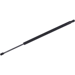 Order TUFF SUPPORT - 612309 - Liftgate Lift Support For Your Vehicle